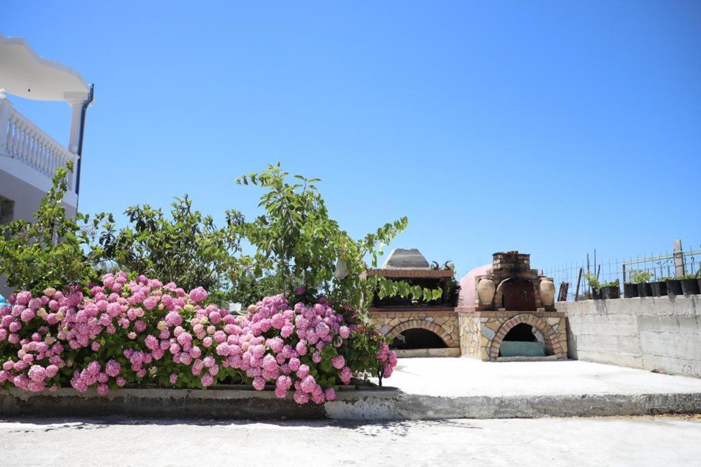 Guest House Narta Vlorë Eksteriør bilde