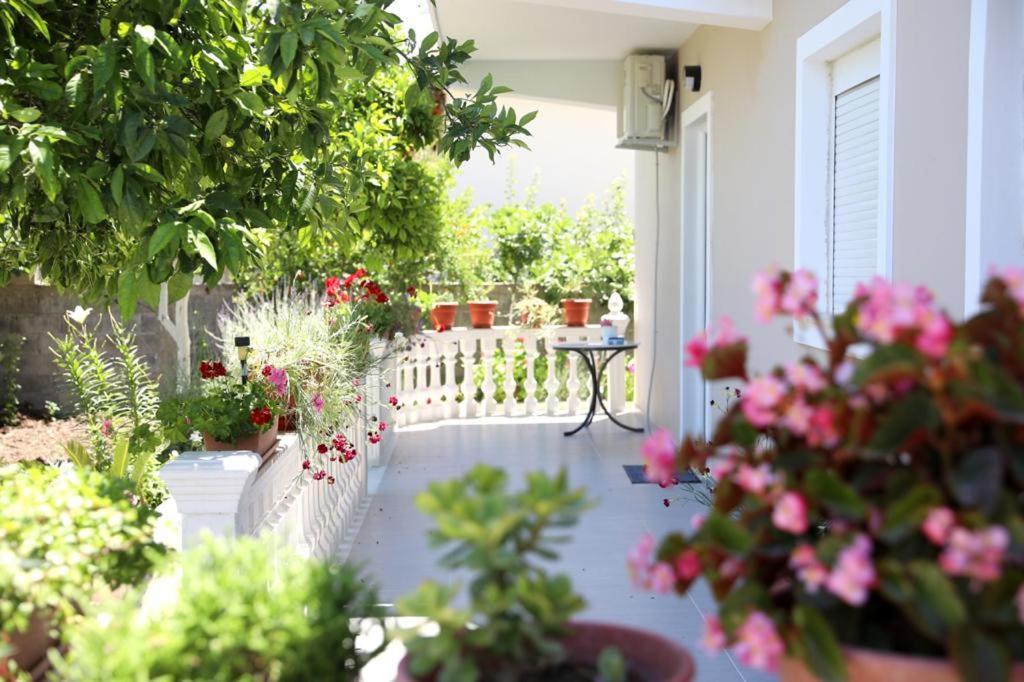Guest House Narta Vlorë Eksteriør bilde