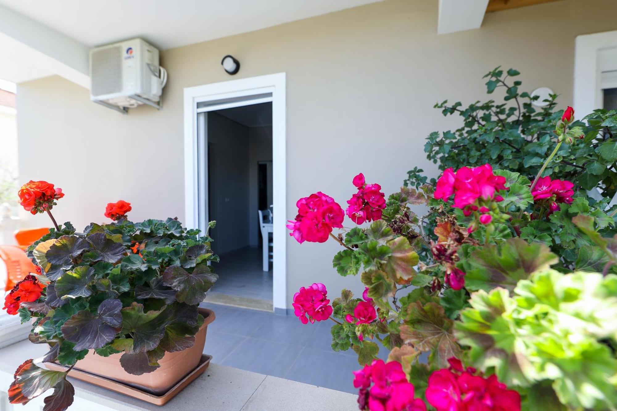 Guest House Narta Vlorë Eksteriør bilde
